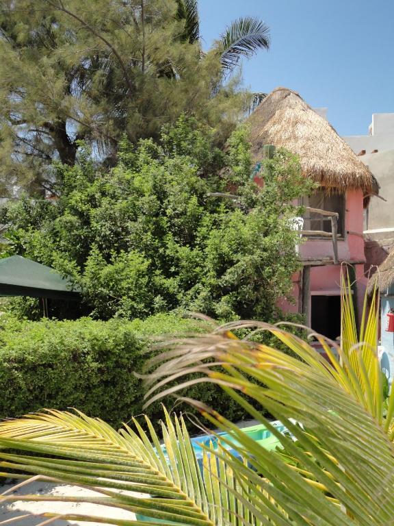 Acamaya Reef Cabanas Puerto Morelos Exterior photo
