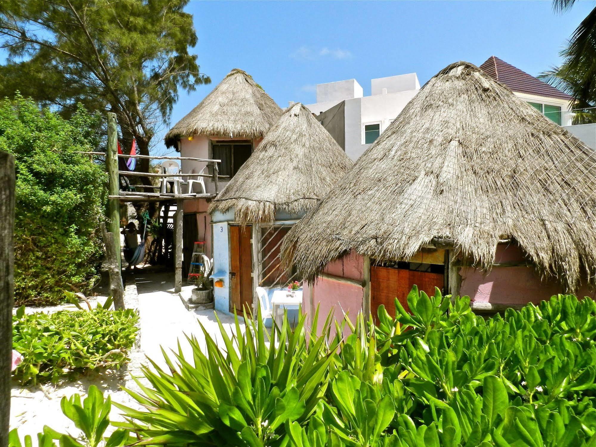 Acamaya Reef Cabanas Puerto Morelos Exterior photo